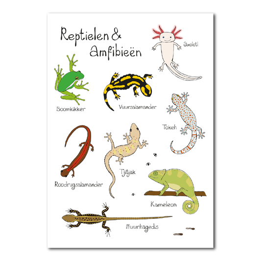 Reptielen & Amfibieën | A5 print